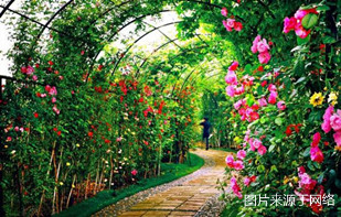 http://2fw.4000500521.com//upimg/seot/t20161219154823264.jpg