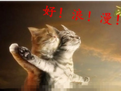 光影 光影