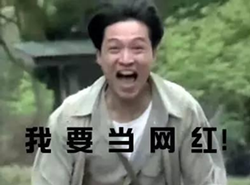 网红 网红