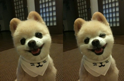 不要太多 不要太多